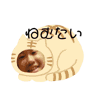 〜石井の日常〜（個別スタンプ：3）