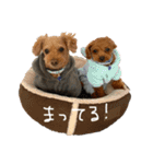 犬達猫達（個別スタンプ：3）