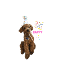犬達猫達（個別スタンプ：9）