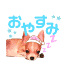 チワワのレック君の日常②（個別スタンプ：8）