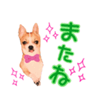 チワワのレック君の日常②（個別スタンプ：10）
