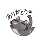 もそもそ猫（個別スタンプ：3）