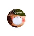 いつも君と 2（個別スタンプ：35）