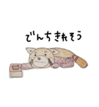 ぜつめつきぐしゅ レッサーパンダ（個別スタンプ：15）
