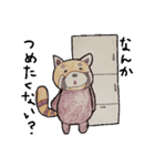 ぜつめつきぐしゅ レッサーパンダ（個別スタンプ：17）