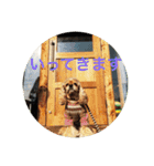 わんわん物語☺︎︎（個別スタンプ：5）