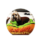 わんわん物語☺︎︎（個別スタンプ：9）