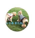 わんわん物語☺︎︎（個別スタンプ：13）