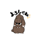 こげちゃうさぎ君（個別スタンプ：3）
