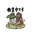 こげちゃうさぎ君（個別スタンプ：6）