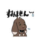 こげちゃうさぎ君（個別スタンプ：7）