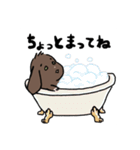 こげちゃうさぎ君（個別スタンプ：12）