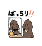 こげちゃうさぎ君（個別スタンプ：16）