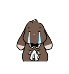 こげちゃうさぎ君（個別スタンプ：32）