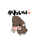 こげちゃうさぎ君（個別スタンプ：36）