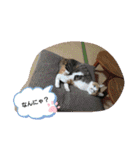 びびにゃぁ（個別スタンプ：2）