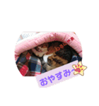 びびにゃぁ（個別スタンプ：4）