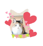 びびにゃぁ（個別スタンプ：5）