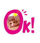 びびにゃぁ（個別スタンプ：7）