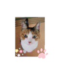 びびにゃぁ（個別スタンプ：8）