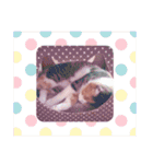 びびにゃぁ（個別スタンプ：9）