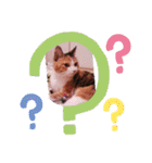 びびにゃぁ（個別スタンプ：12）