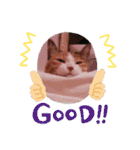 びびにゃぁ（個別スタンプ：16）