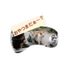 びびにゃぁ（個別スタンプ：18）