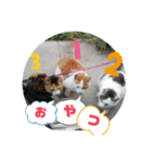 びびにゃぁ（個別スタンプ：20）