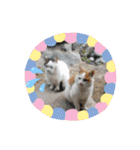 びびにゃぁ（個別スタンプ：32）