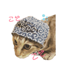 仲良し猫兄弟（個別スタンプ：16）