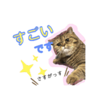 ポアロのスタンプ（4）（個別スタンプ：7）
