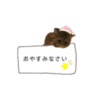 ポアロのスタンプ（4）（個別スタンプ：11）