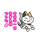 つきねこ ミケの日常③毎日使える敬語 連絡（個別スタンプ：24）