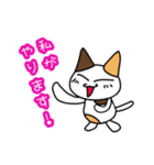 つきねこ ミケの日常③毎日使える敬語 連絡（個別スタンプ：30）