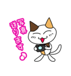つきねこ ミケの日常③毎日使える敬語 連絡（個別スタンプ：34）