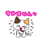 つきねこ ミケの日常③毎日使える敬語 連絡（個別スタンプ：39）