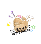 ダックス三姉妹 お姉ちゃんズwithるーたん（個別スタンプ：2）