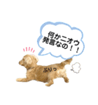 ダックス三姉妹 お姉ちゃんズwithるーたん（個別スタンプ：3）