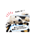 ダックス三姉妹 お姉ちゃんズwithるーたん（個別スタンプ：5）