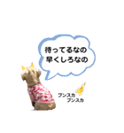 ダックス三姉妹 お姉ちゃんズwithるーたん（個別スタンプ：20）