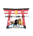 ダックス三姉妹 お姉ちゃんズwithるーたん（個別スタンプ：33）