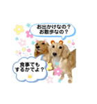 ダックス三姉妹 お姉ちゃんズwithるーたん（個別スタンプ：40）