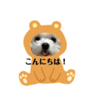 マルまるチビ太（個別スタンプ：5）