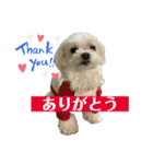マルまるチビ太（個別スタンプ：14）