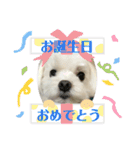 マルまるチビ太（個別スタンプ：18）