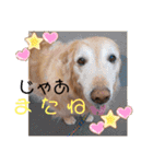 何でもない日もヒックスと♪④（個別スタンプ：32）