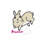 うさぎさんの日常 :)（個別スタンプ：4）