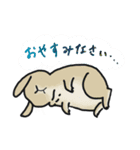 うさぎさんの日常 :)（個別スタンプ：6）