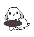 うさぎさんの日常 :)（個別スタンプ：20）